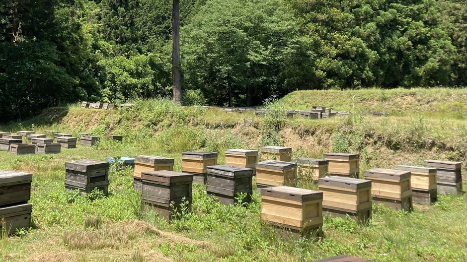 季節のしごとの風景